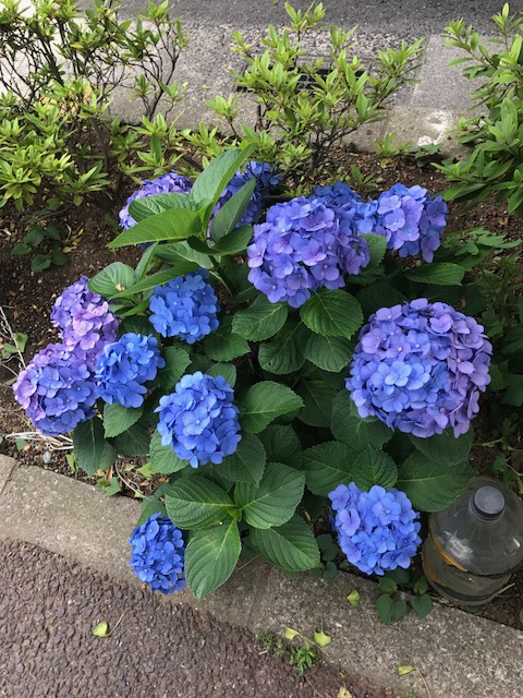 建設業更新しましたの画像