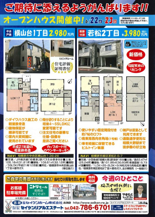 配布チラシ6月22日号の画像