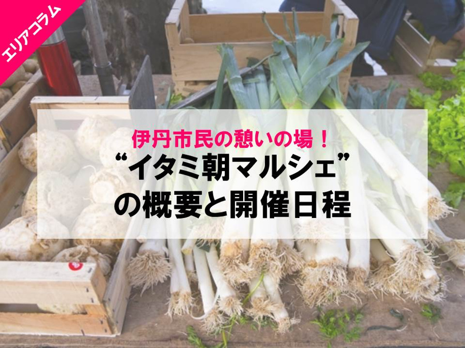 ブログ記事トップ画像
