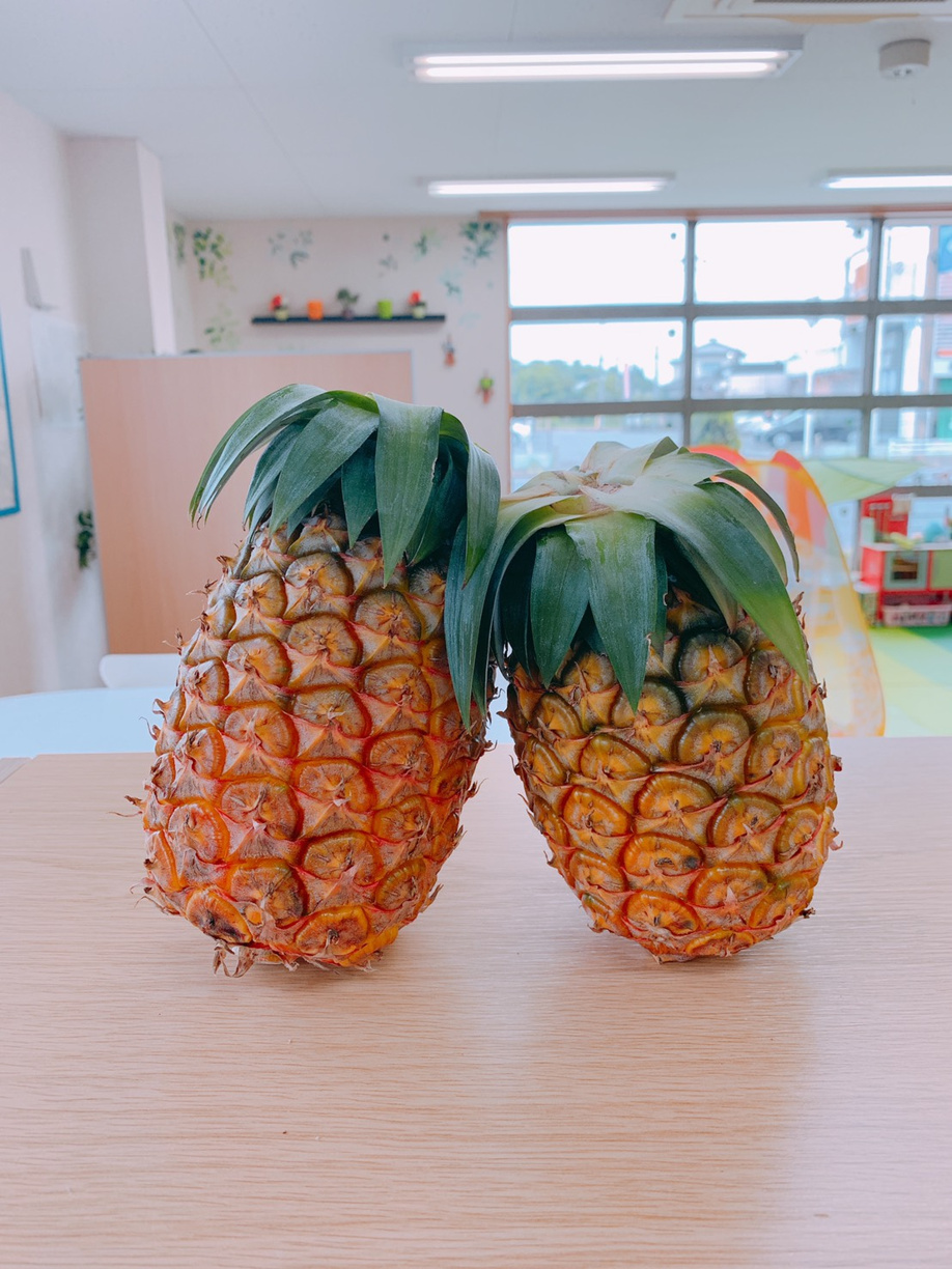 ～南国からの贈り物～の画像