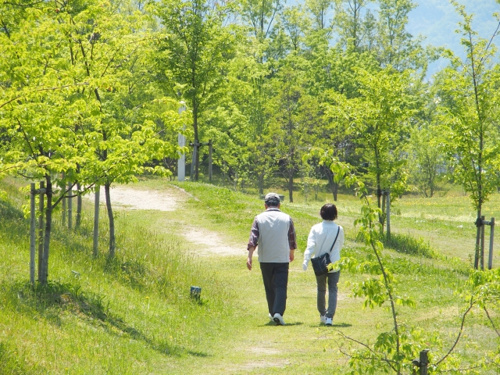 人気観光地の弘法山を通る秦野市のハイキングコースガイドの画像