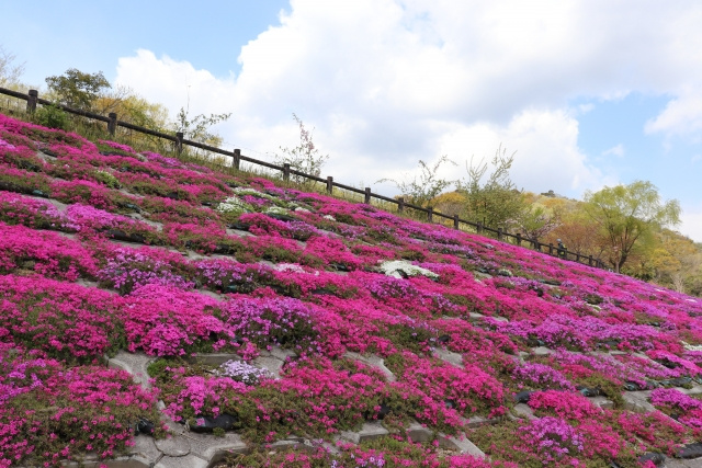 西宮市の甲山森林公園はファミリーにもおすすめ 気軽にハイキングも センチュリー21アクロスグループ