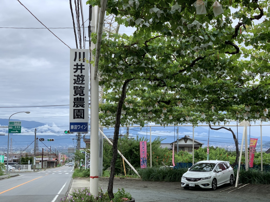 2年ぶりの山梨へ♪おすすめ農園情報の画像