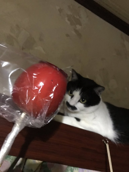 りんごあめ！！の画像