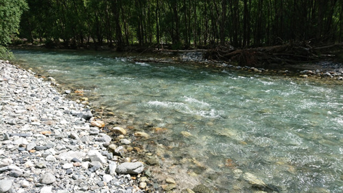 どこを見ても透明な水！！の画像
