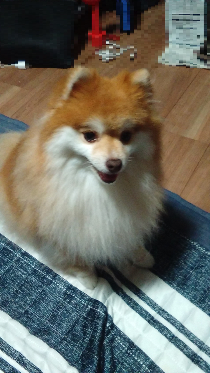 癒しのひととき!(^^)!の画像