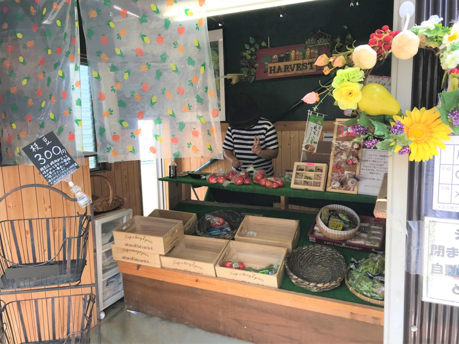 新鮮野菜('◇')ゞの画像