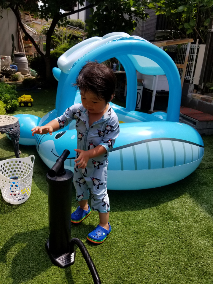 ８月１日：プール開き２０１９の画像