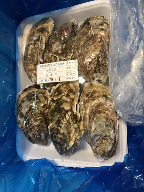 今日の夜は...の画像