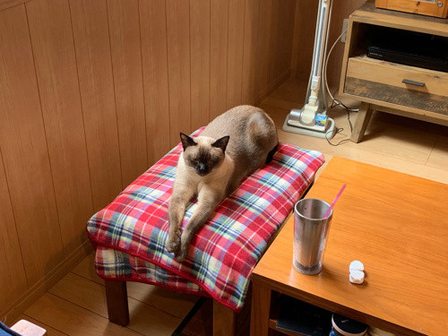 3期目の決算を終えての画像