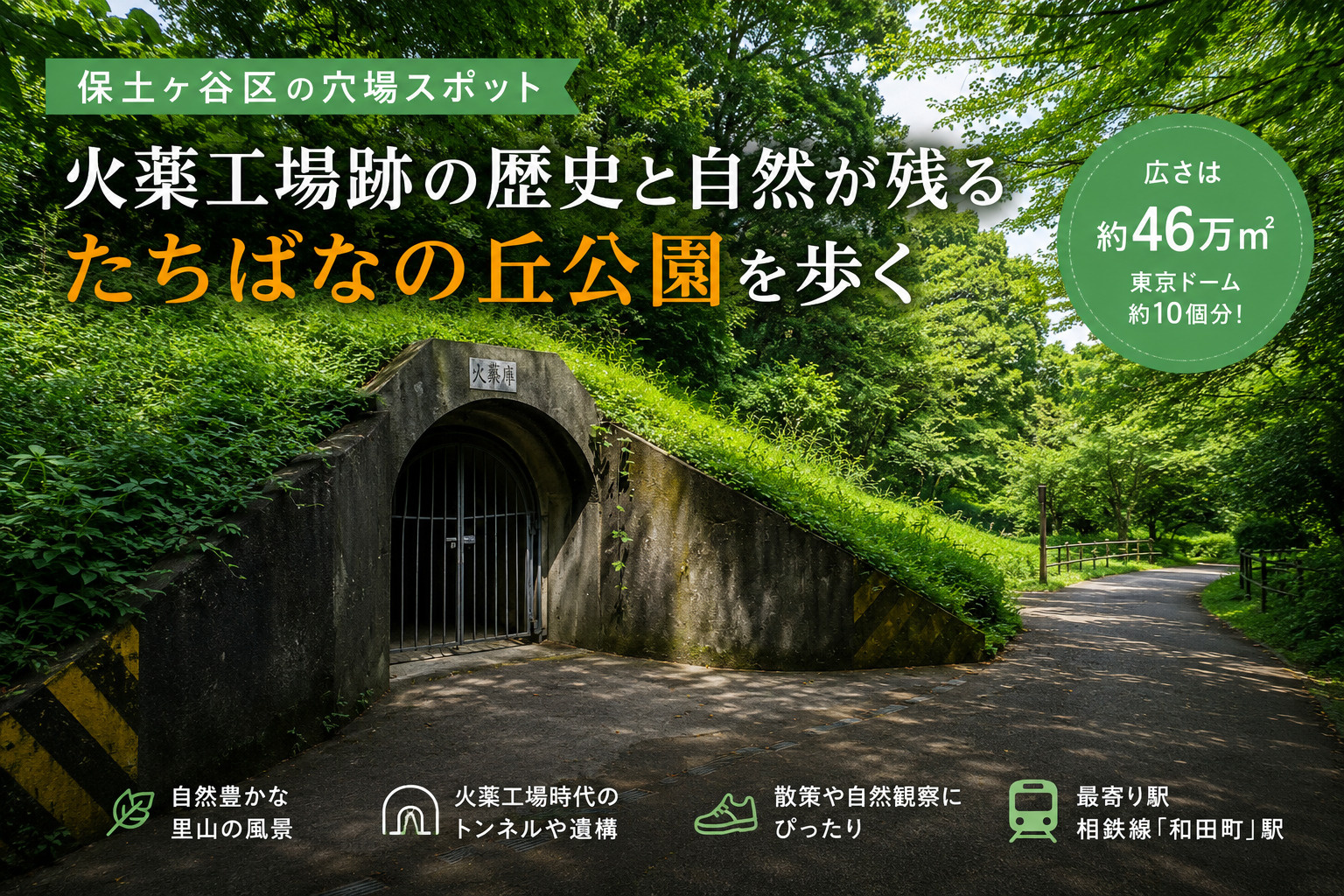 【保土ヶ谷区】火薬工場跡と自然が残る「たちばなの丘公園」を歩...の画像