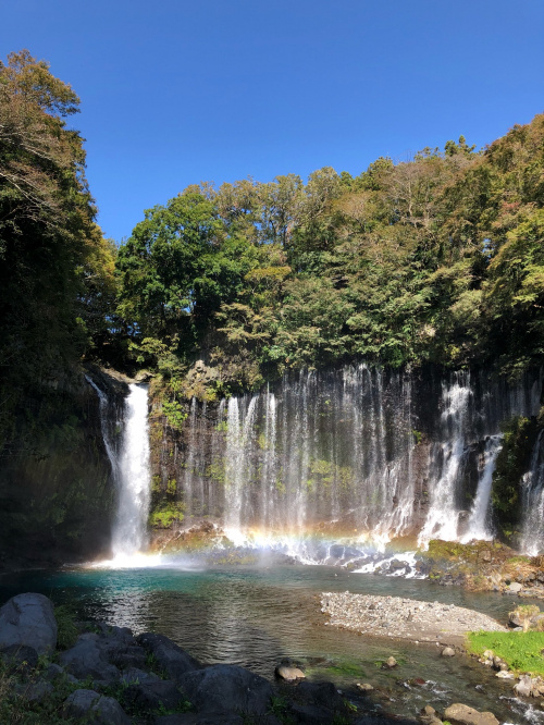 初見さんいらっしゃい＞＜の画像