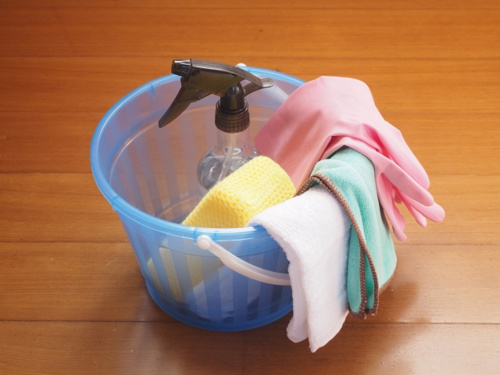 新しい畳はカビが生えやすい 防止策や生えてしまった時の取り方は 保土ヶ谷区の不動産ならコノミハウジング