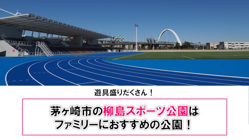遊具盛りだくさん！茅ヶ崎市の柳島スポーツ公園はファミリーにおすすめの公園！の画像