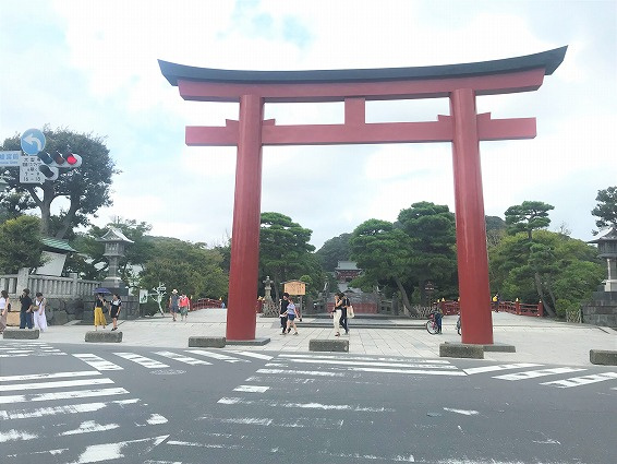 鶴岡八幡宮に行ってきました('◇')ゞの画像