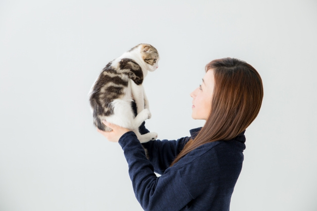 大切なネコと暮らすため家づくりを工夫しよう！注意点もご紹介しますの画像