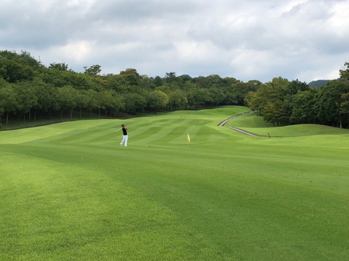 休日は...⛳の画像