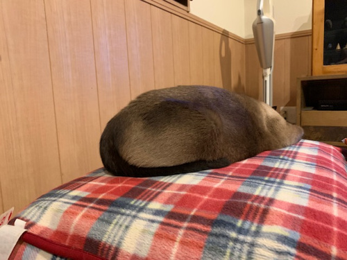貸先がない？の画像