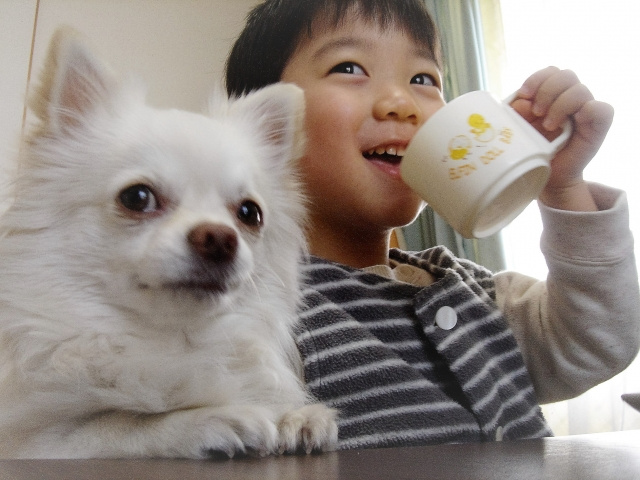 子どもがペットと暮らすのは知育に良い？与える影響をご紹介の画像