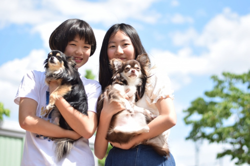 愛犬と快適に暮らしたい！ペットの習性を理解して仲良く暮らす家作りの 