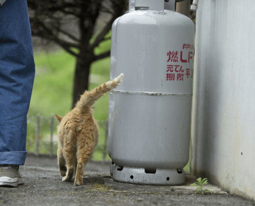 9月が終わりますね～の画像