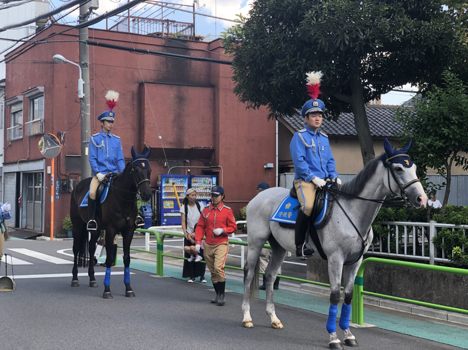 うっ馬⁉の画像