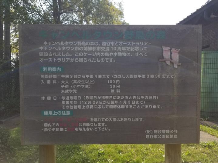 １０月３日：キャンベルタウン野鳥の森の画像