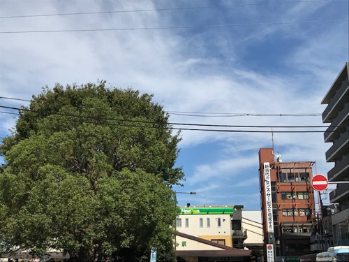 10月10日の日の画像