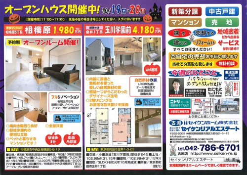 配布チラシ１０月１９日号の画像