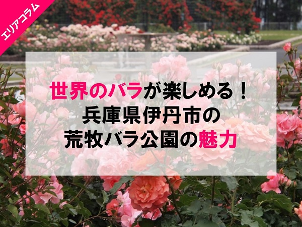 ブログ記事トップ画像