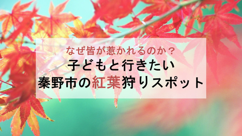 子どもと行きたい秦野市の紅葉狩りスポット！の画像