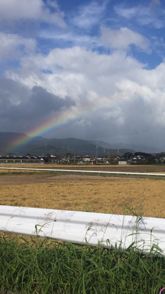 「虹」の画像