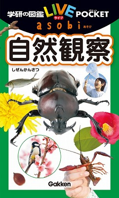 １０月３１日：朗報の画像