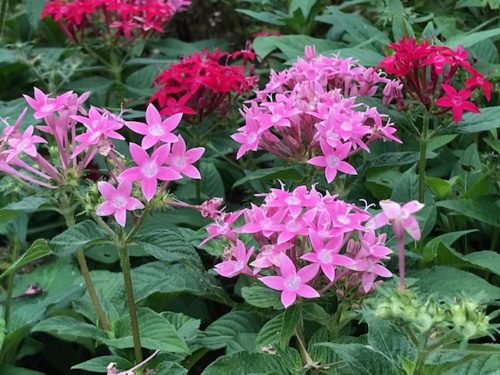 □◆東京都指定史跡３◆□の画像