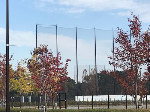 適正量と7割です♪の画像