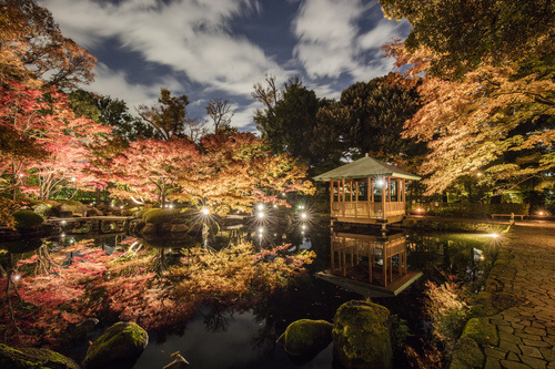 予告「紅葉のライトアップ」の画像