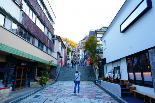 紅葉の秋の画像