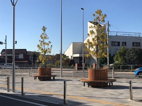 チャレンジ♪食ロス削減♪２の画像