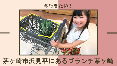 今行きたい！茅ヶ崎市浜見平にあるブランチ茅ヶ崎の画像