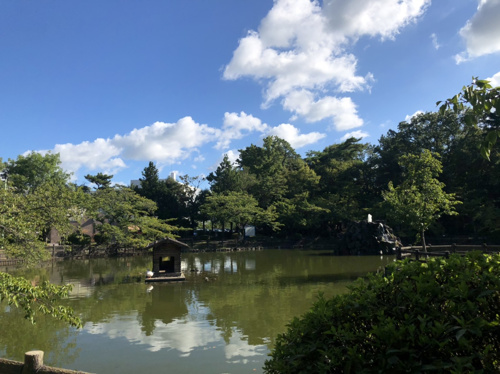 名古屋といえば！の画像