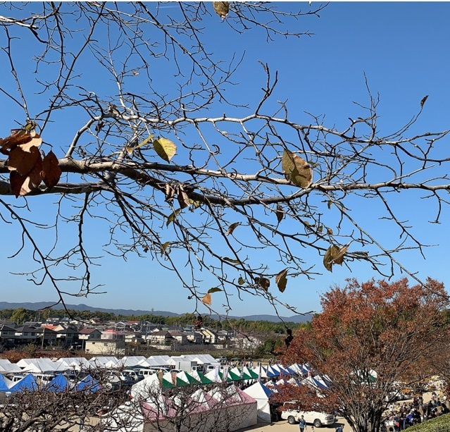 奈良県北葛城郡広陵町三吉の竹取公園で行われた『靴下の市』に行ってきました!(^^)!の画像