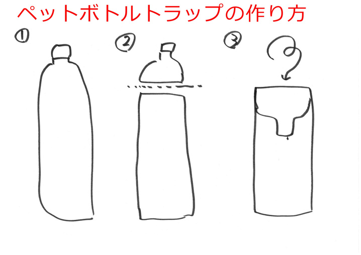 １２月５日：サバイバル生活から学んだことの画像