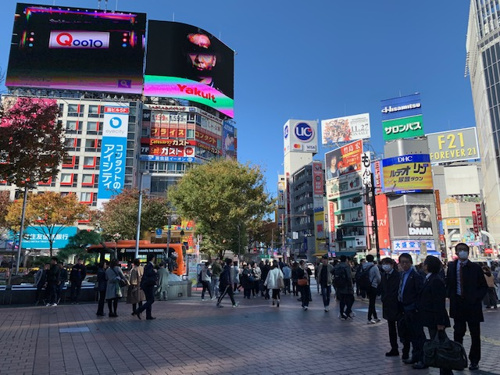 再度のセミナー参加。の画像