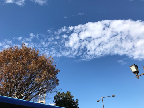 ♪冷蔵庫の整理方法♪２の画像