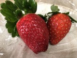 「いちご」の画像