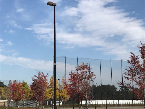 □◆山王祭礼図絵◆□の画像