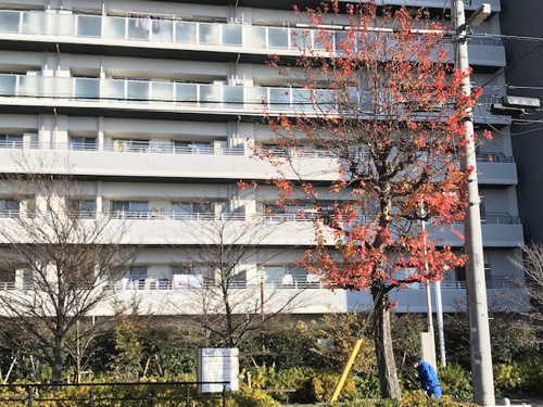 冬の電気代節約ポイント♪の画像