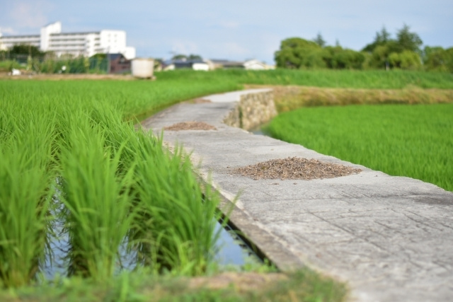 2022年問題と生産緑地と農地　Vol.２の画像