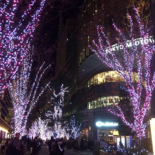 イルミネーション！の画像