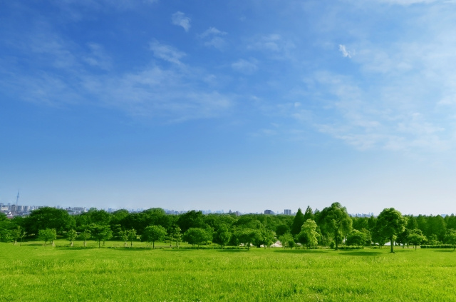 地域の住みやすさを選ぶポイントとは？気候や自然から考えられる住みやすい地域の画像